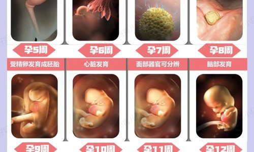 低血钾禁忌药物网 - 低血钾不能用什么药,低血钾禁忌药物